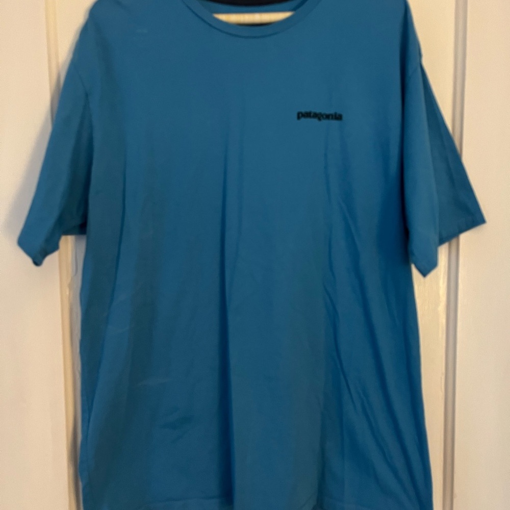 Patagonia Men's Teal Short Sleeve Tee